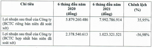 Lợi nhuận giảm mạnh và vướng mắc tại nhiều dự án, cổ phiếu LDG vẫn tăng mạnh với thanh khoản lớn - Ảnh 2.