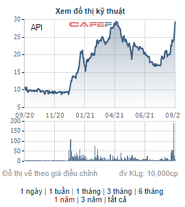 Cổ phiếu API tăng 50% trong vòng nửa tháng, Chứng khoán APEC vẫn muốn đầu tư thêm 5 triệu cổ phiếu - Ảnh 1.