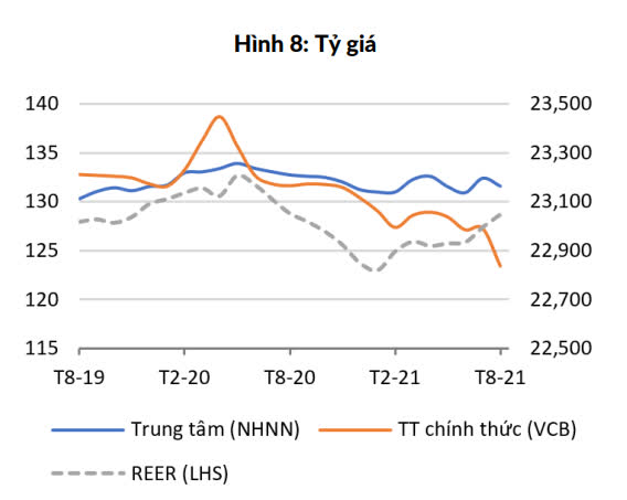 WB: 8 tháng đầu năm, Việt Nam giữ ổn định lạm phát, nhưng tỷ giá VND/USD tăng - Ảnh 2.