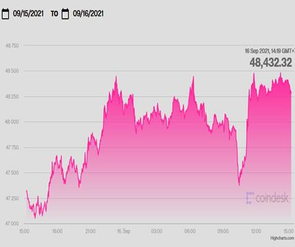 USD hôm nay 16/9 “đứng hình”, vàng giảm, Bitcoin tăng tiếp - Ảnh 2.