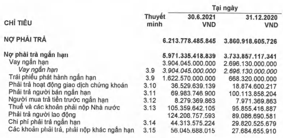Chứng khoán Bản Việt (VCI): Dư nợ trái phiếu nửa đầu năm tăng đột biến 149% lên 1.623 tỷ, sắp hút thêm 200 tỷ đồng - Ảnh 1.