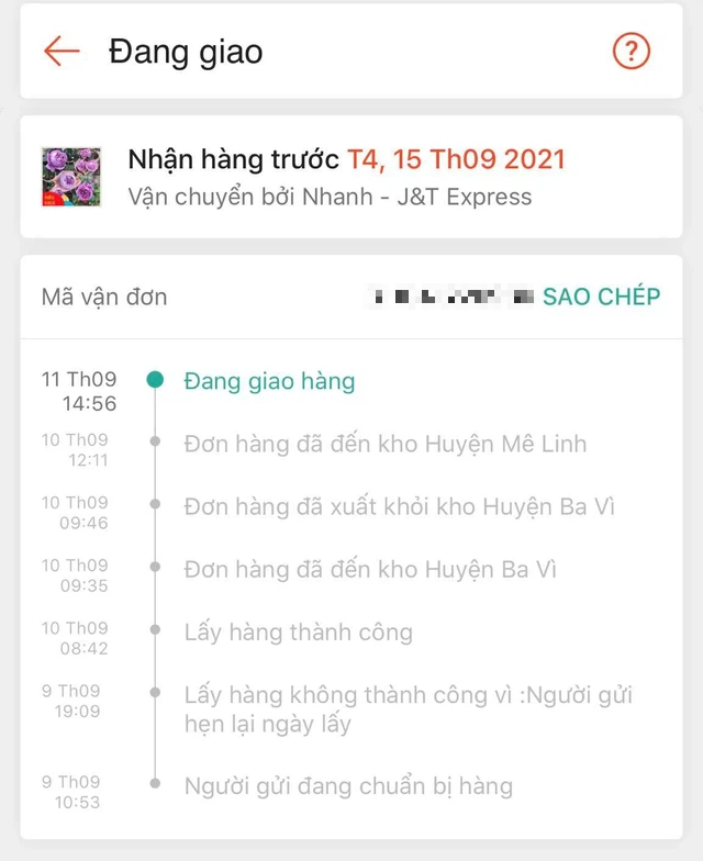 Đặt hàng online mùa dịch: người mua càng chờ hàng càng mất hút, người bán than trời - Ảnh 2.