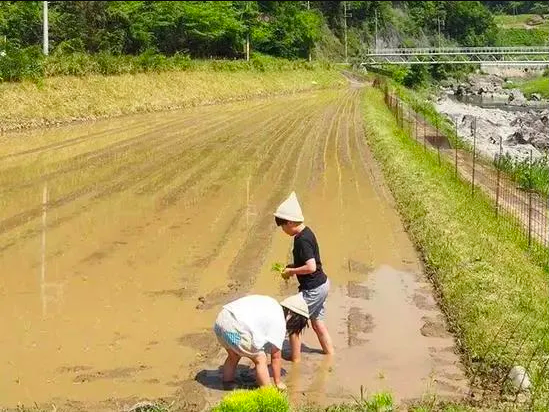 Bỏ việc về quê, nuôi cá và trồng thêm rau: Cuộc sống thảnh thơi, như mơ của đôi vợ chồng khiến nhiều người phát cuồng - Ảnh 11.