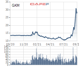 Công ty chứng khoán họ Louis gia tăng sở hữu tại Khang Minh Group (GKM) lên gần 18% - Ảnh 1.