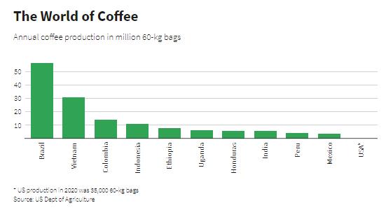 Nước Mỹ và giấc mơ hoang đường… trở thành nước trồng cà phê lớn trên thế giới - Ảnh 2.