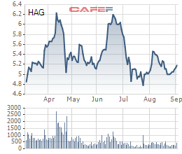 Lỗ luỹ kế 7.372 tỷ đồng, HoSE giữ nguyên diện kiểm soát với cổ phiếu HAG    - Ảnh 1.