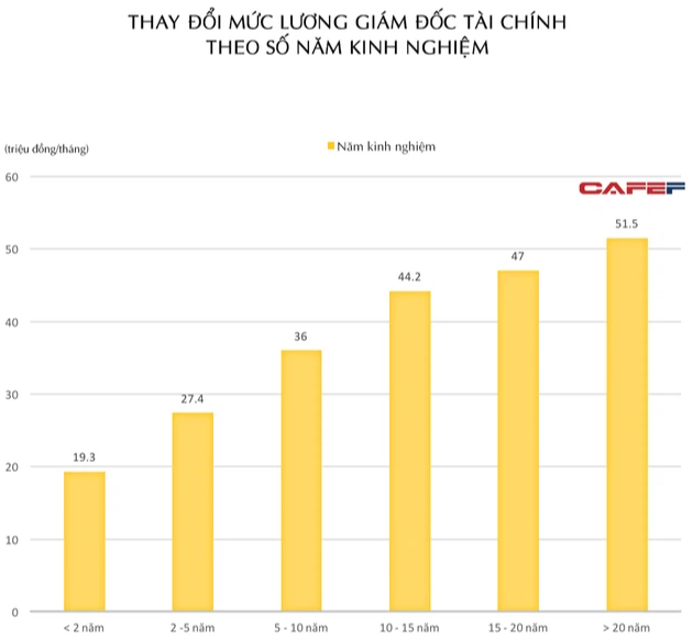 Khác biệt lương CFO tại doanh nghiệp Việt Nam ra sao? - Ảnh 1.