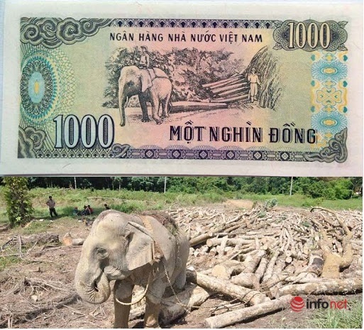 Những Địa Danh Xuất Hiện Trên Các Đồng Tiền Việt Nam