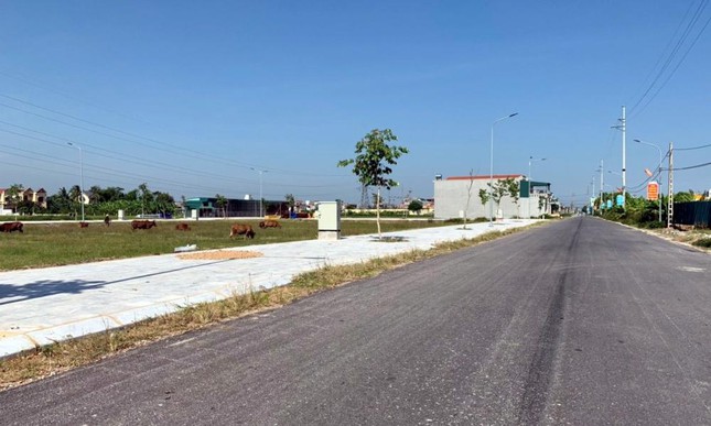 Tạm dừng loạt cuộc đấu giá đất vì dịch, chuyển hướng sang đấu trực tuyến - Ảnh 2.