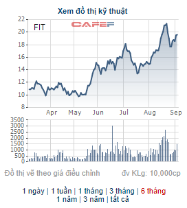FIT thông qua việc triển khai phát hành thêm khoảng 77 triệu cổ phiếu trả cổ tức và chào bán cho cổ đông hiện hữu - Ảnh 2.