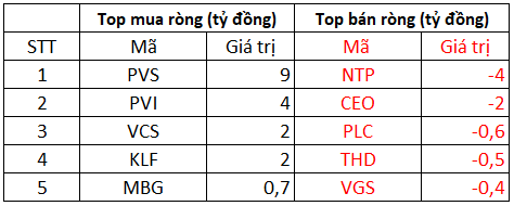 Phiên 11/1: Khối ngoại bất ngờ trở lại mua ròng, tập trung gom VIC, DXG trong khi bán mạnh FLC, DGC - Ảnh 2.