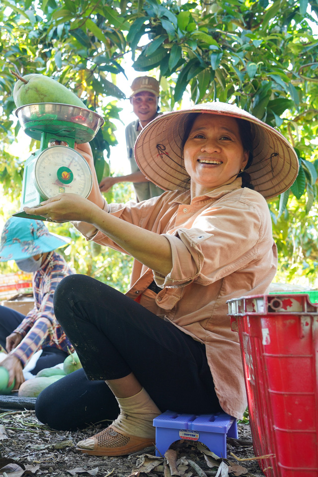 Tiki: Không muốn “giải cứu” nông sản nữa! - Ảnh 2.