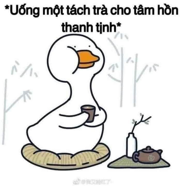 Dân ôm cổ FLC bây giờ: Tầm này mình sống như 1 đoá hoa, chỉ muốn uống ly trà hoa cúc để... tĩnh tâm lại - Ảnh 4.