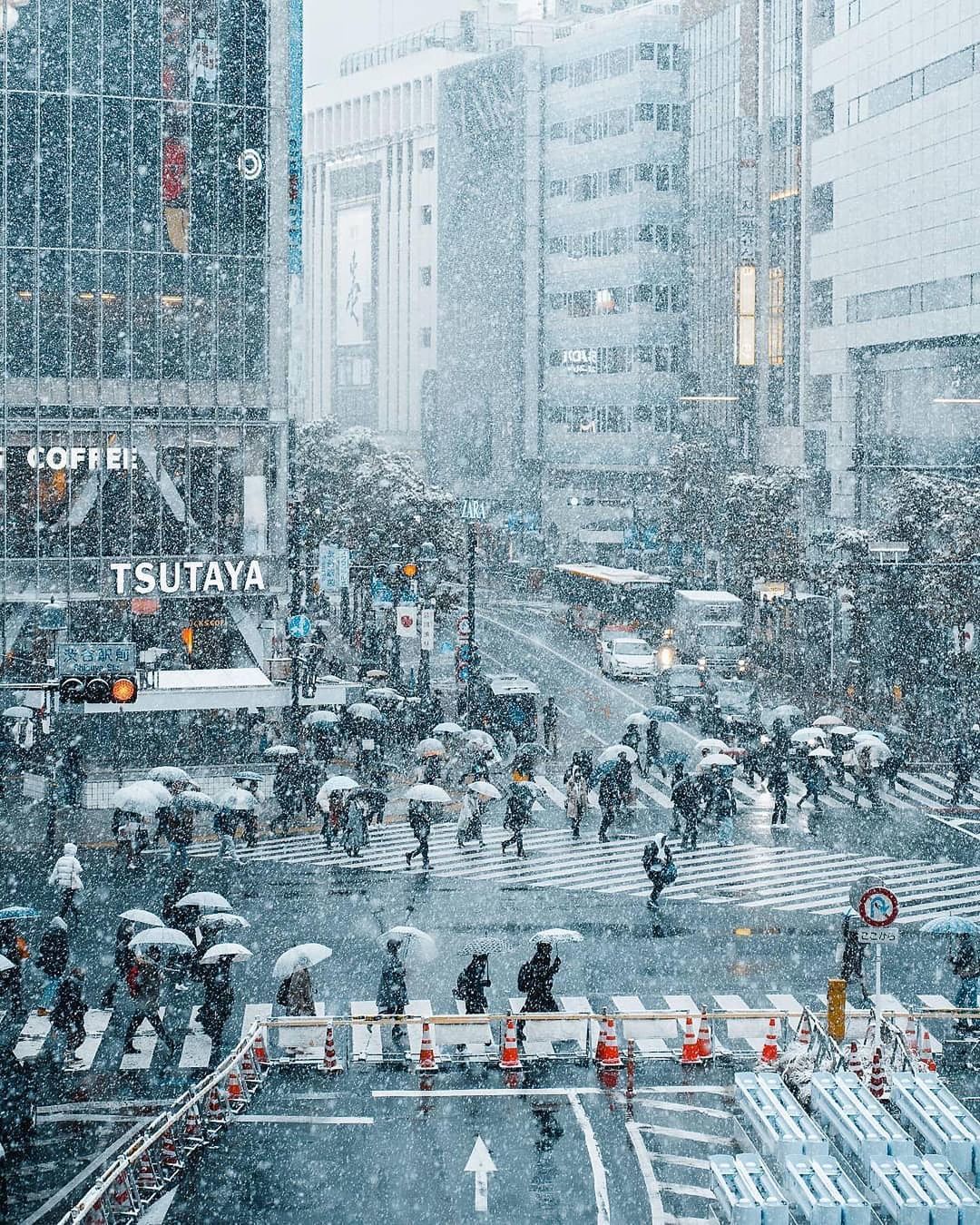 Chùm ảnh: Khung cảnh Tokyo dưới tuyết trắng đẹp đến nao lòng ...