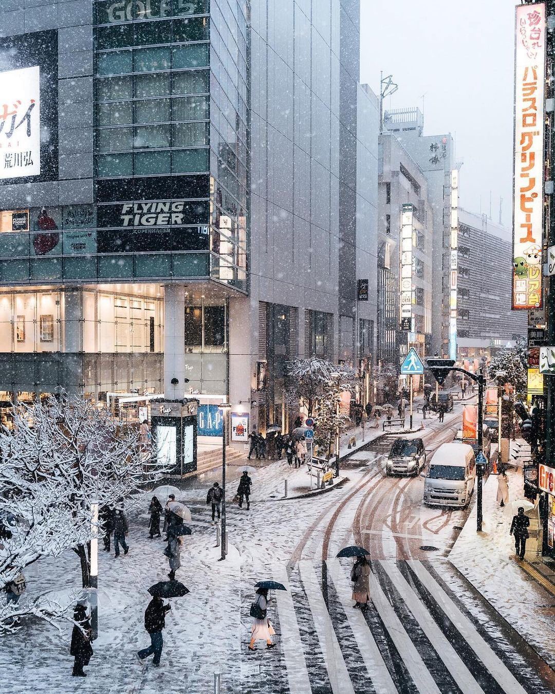 Khung cảnh đẹp Tokyo tuyết trắng sẽ khiến cho bất kỳ ai nhìn thấy đều phải trầm trồ. Thành phố an ninh, có những siêu thị, quán ăn và tiện nghi phục vụ chu đáo. Hãy tới và thưởng thức không khí đẹp tuyệt vời này.