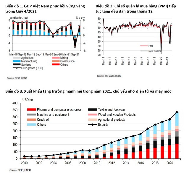 HSBC nói về “cú quay xe” của kinh tế Việt Nam cuối năm 2021 - Ảnh 1.