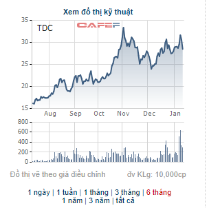 Becamex TDC đấu giá 35 triệu cổ phiếu, giá khởi điểm 27.900 đồng/cp - Ảnh 1.