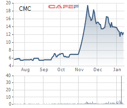 Đầu tư CMC báo lãi vỏn vẹn hơn 3 tỷ đồng trong năm 2021, thị giá từng gây sốc với 11 phiên kịch trần liên tiếp - Ảnh 2.