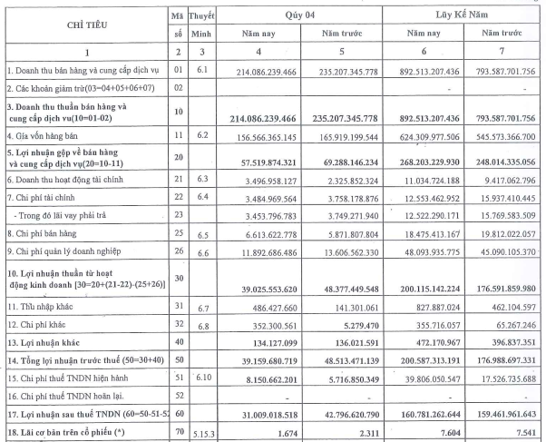 Cảng Đồng Nai (PDN) báo lãi 160 tỷ đồng năm 2021, vượt 10% chỉ tiêu lợi nhuận được giao - Ảnh 1.