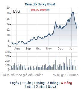 EVG giảm sâu, Chủ tịch Everland đăng ký mua 3 triệu cổ phiếu - Ảnh 1.