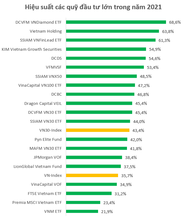Chứng khoán thăng hoa, quỹ đầu tư “đại thắng” năm 2021 - Ảnh 1.