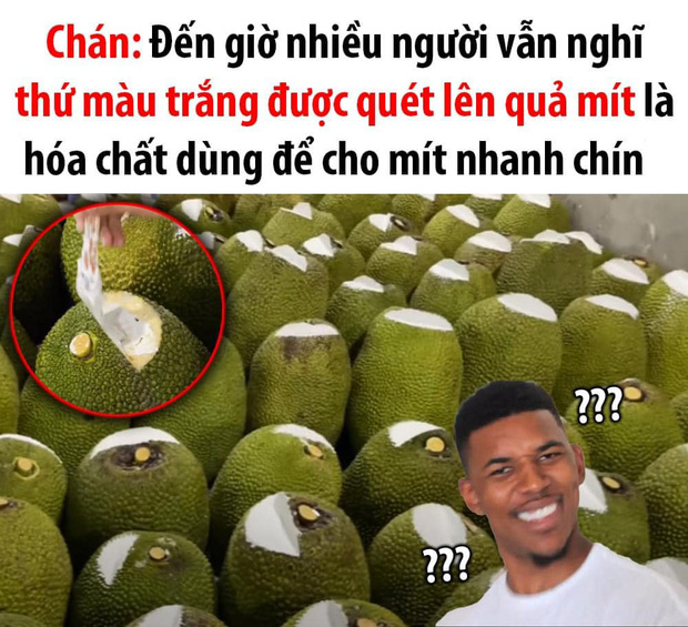 Bí ẩn đã có lời giải đáp: Thứ màu trắng quét lên những quả mít bán ngoài chợ thật sự là gì? - Ảnh 1.