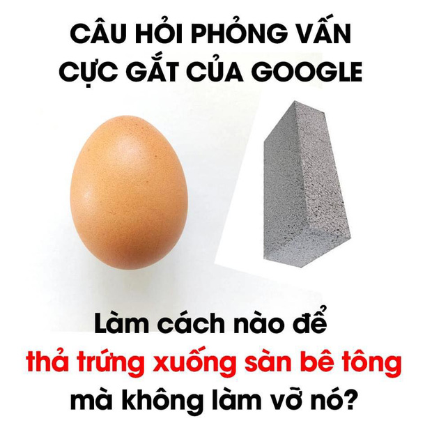 Phỏng vấn: Làm sao thả trứng xuống sàn bê tông mà không vỡ - Câu hỏi tuyển dụng cực khó và đây là cách trả lời! - Ảnh 1.