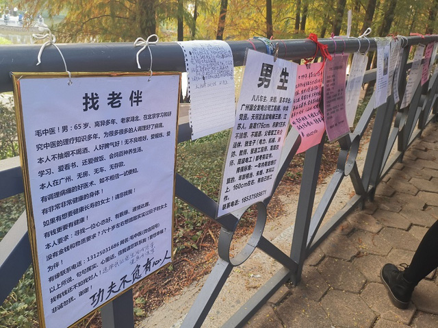 Chuyện các cụ đi tìm bạn đời ở Trung Quốc: Người ra công viên treo áp phích thông tin cá nhân, người tham gia show truyền hình thực tế - Ảnh 1.