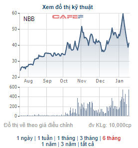 CII tiếp tục đưa 9 triệu cổ phiếu NBB ra đăng ký bán, muốn giảm thêm tỷ trọng sở hữu tại Năm Bảy Bảy - Ảnh 1.