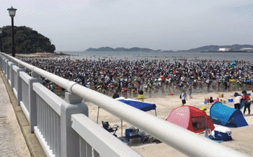 Hàng ngàn người Nhật Bản chen chúc kín bờ biển, họ đang định làm gì? - Ảnh 1.