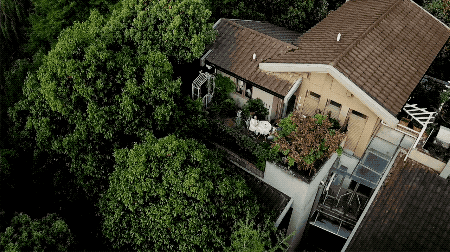 Đôi vợ chồng trẻ cải tạo ngôi nhà đổ nát rộng 185m² biến thành tổ ấm dịu dàng đầy nắng và cây xanh  - Ảnh 1.