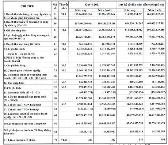 DIC Holdings (DC4) báo lãi năm 2021 tăng 33% so với cùng kỳ - Ảnh 1.