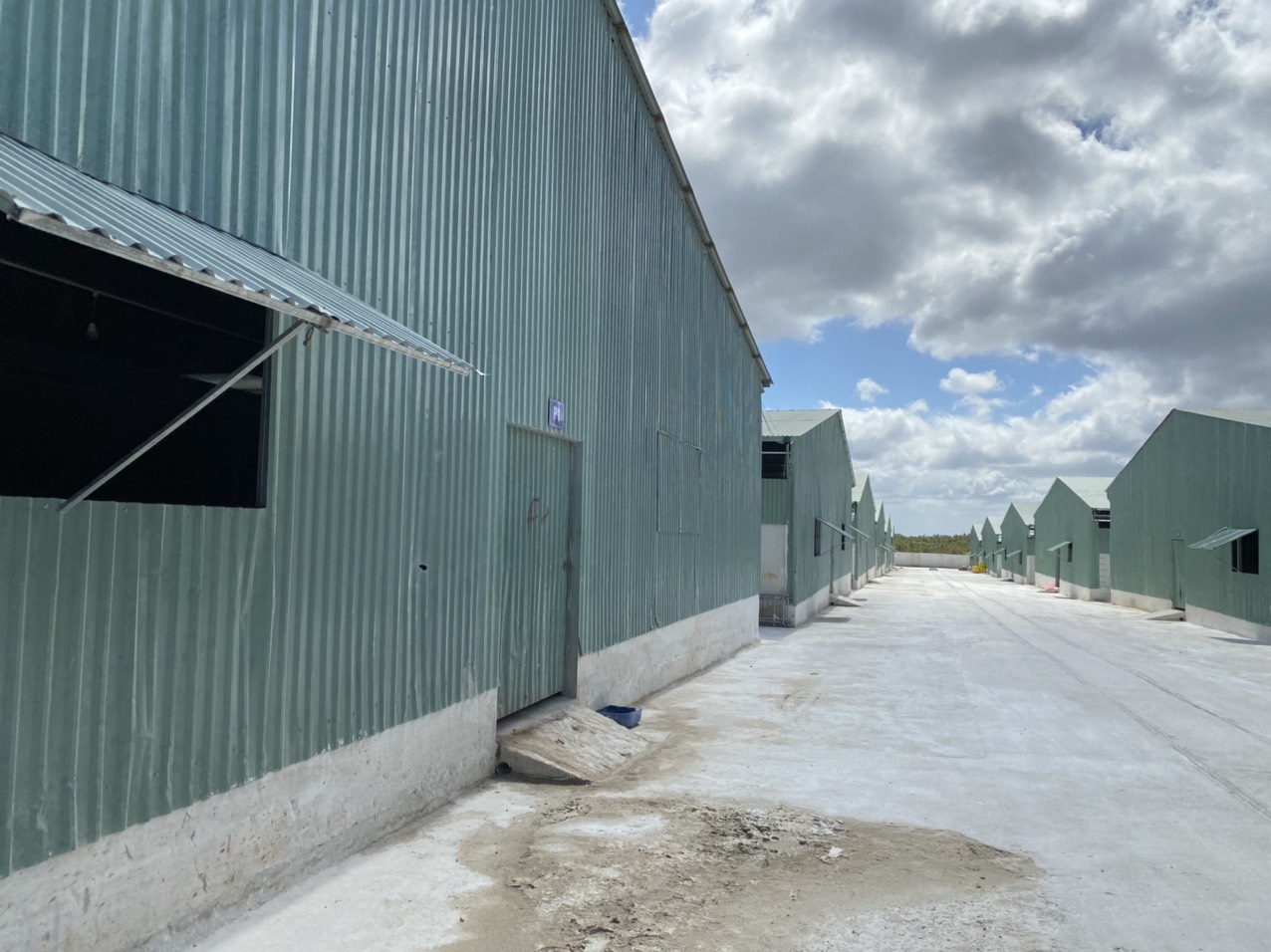 Bầu Đức và hành trình mới 1 cây 1 con: Khi phát hiện ra chuyện con heo ăn chuối tôi đã không ngủ được, tháng 3/2022 sẽ công bố thương hiệu heo HAGL - Ảnh 9. Bầu Đức và hành trình mới 1 cây 1 con: Khi phát hiện ra chuyện con heo ăn chuối tôi đã không ngủ được, tháng 3/2022 sẽ công bố thương hiệu heo HAGL - Ảnh 9.