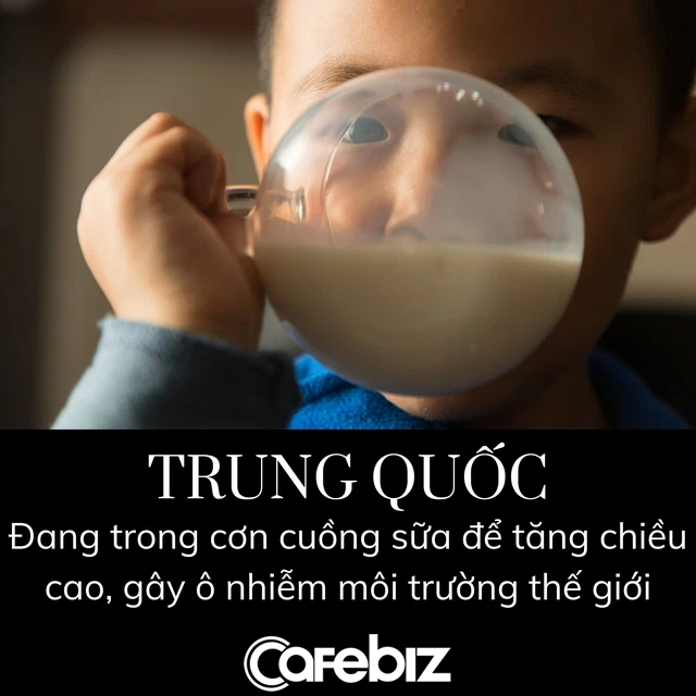 Trung Quốc cuồng sữa khiến cả thế giới chịu trận: Nuôi 13 triệu con bò, chiếm 2/3 lượng khí thải nhà kính, cố sản xuất vượt khả năng của tự nhiên - Ảnh 7.