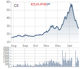 CII đột ngột báo lỗ lớn trong quý 4/2021, đưa mức lỗ ròng cả năm hơn 341 tỷ đồng - Ảnh 2.