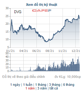 Sơn Đại Việt (DVG) triển khai chào bán 28 triệu cổ phiếu tăng vốn điều lệ lên gấp đôi, huy động tiền thâu tóm một doanh nghiệp cùng ngành - Ảnh 1.