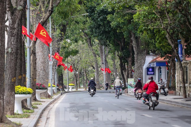  Đào bung sắc bên thảm hoa rực rỡ quanh Hồ Gươm đón Tết Nhâm Dần 2022  - Ảnh 12.