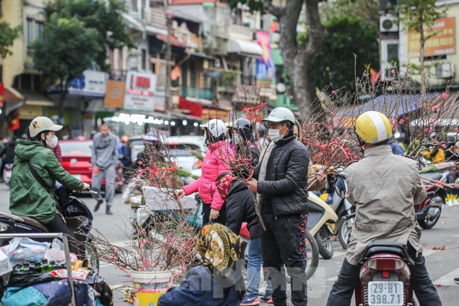  Đào bung sắc bên thảm hoa rực rỡ quanh Hồ Gươm đón Tết Nhâm Dần 2022  - Ảnh 19.