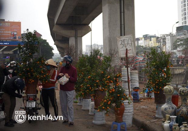  Hà Nội: Nhiều khách hàng chỉ đến hỏi giá rồi đi, các tiểu thương đồng loạt treo biển xả hàng với hi vọng bán được nốt đào quất - Ảnh 7.