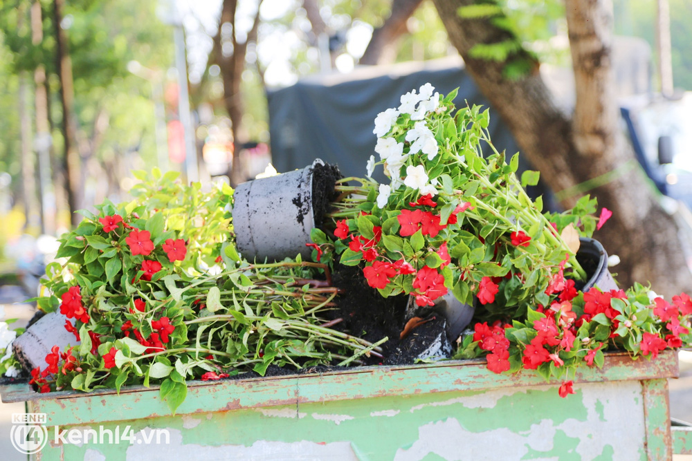 Cùng chiêm ngưỡng bộ ảnh đầy ý nghĩa về hoa ế bị bỏ đi của tiểu thương Sài Gòn, một cuộc truy tìm giá trị đích thực của những vật dụng đơn giản nhưng vẫn mang lại cảm xúc và ý nghĩa cho con người.