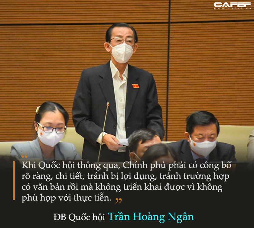 PGS.TS Trần Hoàng Ngân: Quốc hội lần đầu họp bất thường để phù hợp với bất thường của đại dịch - Ảnh 2.