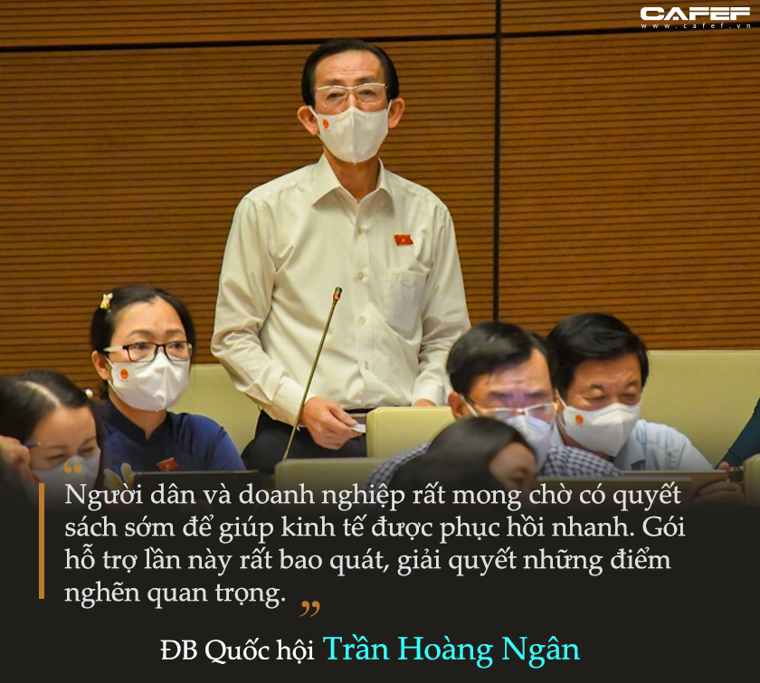 PGS.TS Trần Hoàng Ngân: Quốc hội lần đầu họp bất thường để phù hợp với bất thường của đại dịch - Ảnh 1.