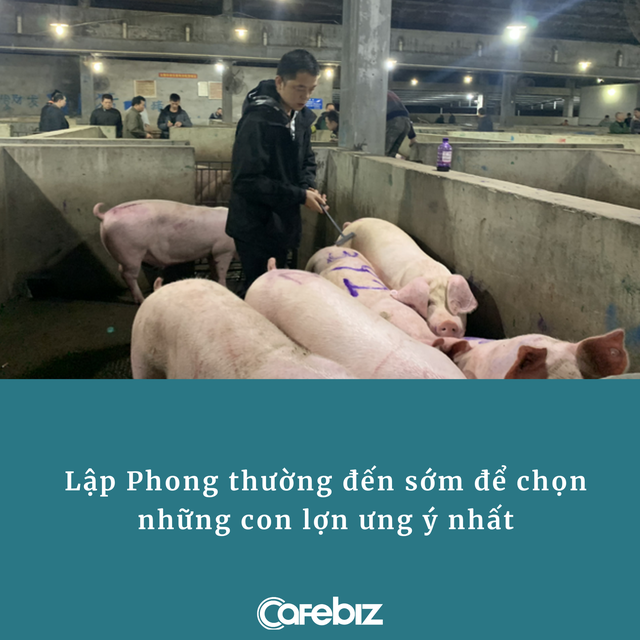 Cử nhân tốt nghiệp loại ưu, bỏ việc nhà nước để bán thịt lợn: Ngủ 3 tiếng/ngày, bán thịt 3 ngày bằng lương công chức cả tháng - Ảnh 2.