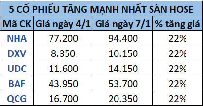 Điểm mặt những cổ phiếu lì xì nóng đầu năm cho nhà đầu tư: Một mã tăng gần 100.000 đồng chỉ sau 4 phiên giao dịch - Ảnh 1.