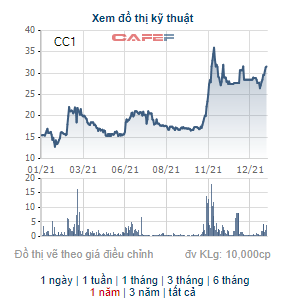 Tổng Công ty Xây dựng số 1 (CC1) triển khai chào bán 205 triệu cổ phiếu, tăng vốn điều lệ lên gần gấp 3 - Ảnh 2.