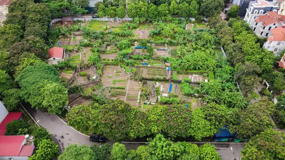  Bên trong những lô đất quây tôn 20 năm mà Hà Nội quyết đòi để xây trường có gì? - Ảnh 13.