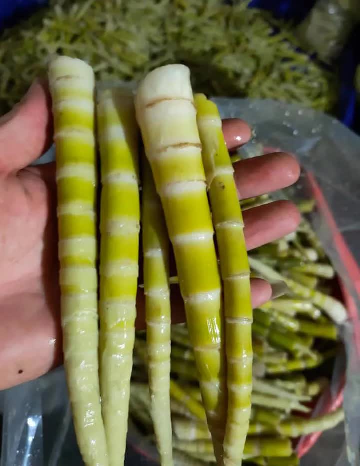 Măng trúc Hà Giang giá đầu mùa đắt đỏ nhưng khách vẫn đặt cả chục kg về ăn - Ảnh 5.