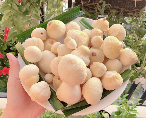 Món quê thành đặc sản được săn lùng, 300.000 đồng/kg cũng khó mua - Ảnh 1.