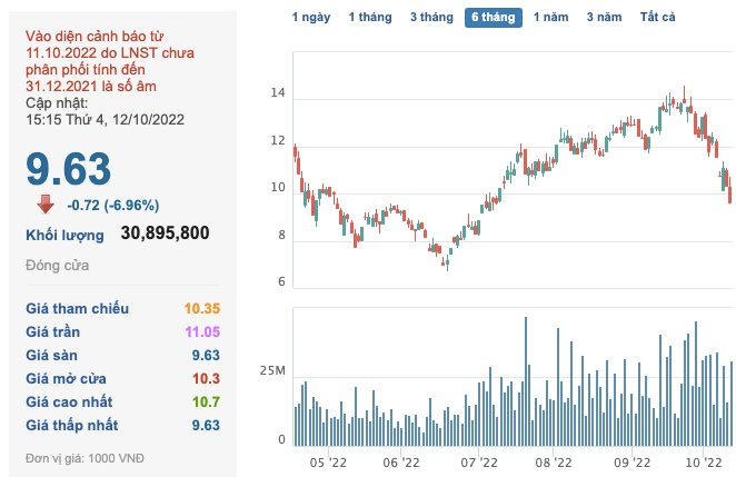 HAGL bác bỏ tin đồn tiêu cực trước đà bán tháo, ái nữ Đoàn Hoàng Anh đăng ký mua 1 triệu cổ phiếu - Ảnh 1.