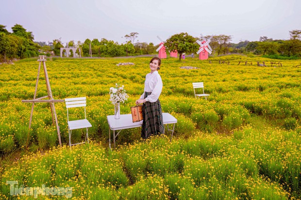  Mê mẩn trước cánh đồng cúc sao băng độc nhất tại Hà Nội - Ảnh 7.